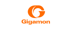 gigamon